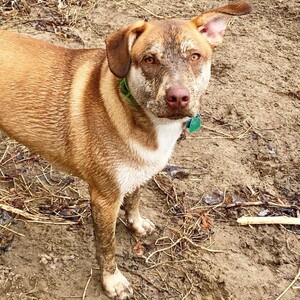 Leah Decarvalho's avatar