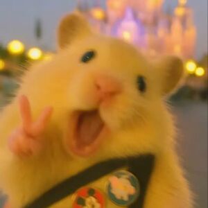 Hanna Van Cleave's avatar