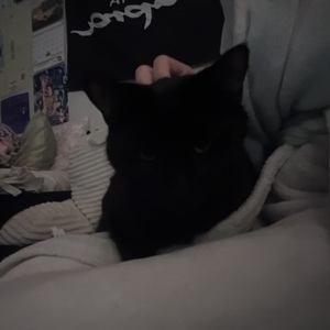 McKenzie Wallace's avatar