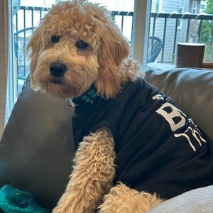 Lisa Cvejn's avatar