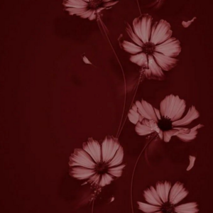 Vanessa Galarza 103's avatar