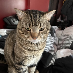 Oundre Cruz 103's avatar