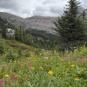 Lucy Fox-Wiviott's avatar