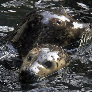 Norah Brennan's avatar