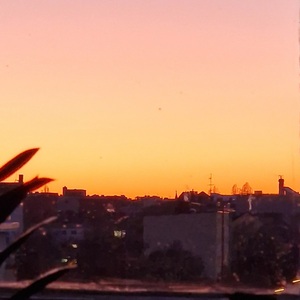 Louisa Palmer's avatar