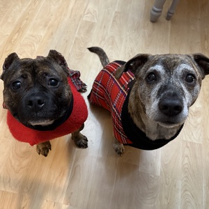 Kai Hai-Ortiz's avatar