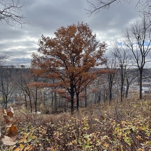 Abby Silberfarb's avatar