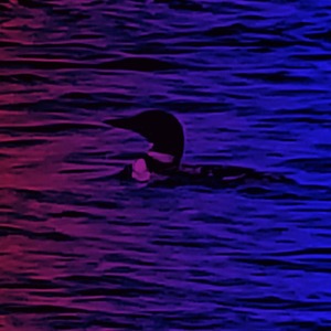 David Johnson's avatar