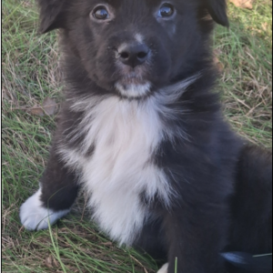 Daniel Gladhill's avatar