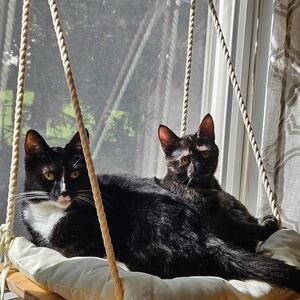 Kayli Donahue's avatar