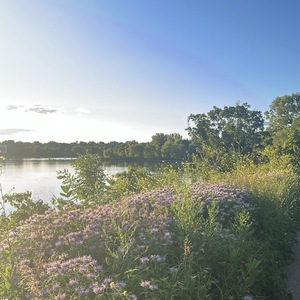 Astou Dione's avatar