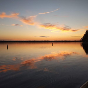 Becca Elliott's avatar