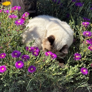 Wendy Murguia's avatar