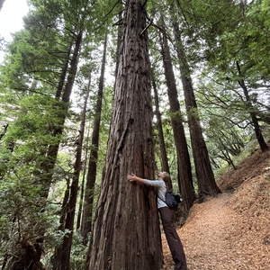 Serena Birchard's avatar