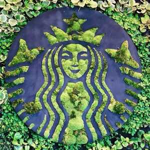 MollyAnna Gromada's avatar