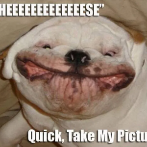 Jason Schafer's avatar