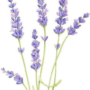 Jannat Bahanni's avatar