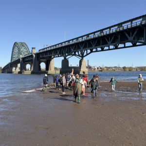 Claire Paul's avatar