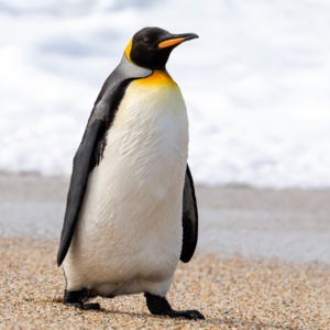 Tyler Keller's avatar