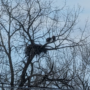 Shelly Sales's avatar