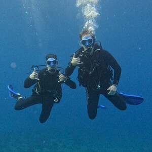 Joel Donkersgoed's avatar