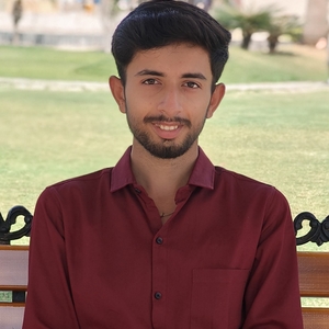 Ankur Parmar's avatar