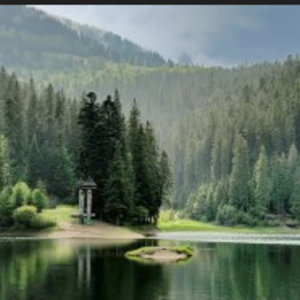 Svitlana Kariakina's avatar