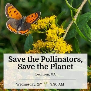 victoria harrison's avatar