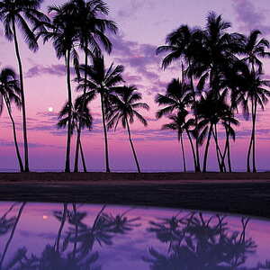 Kelly Johnstone's avatar