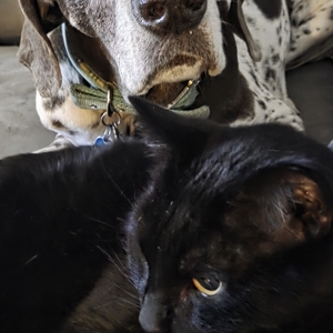 Patricia  Holliday's avatar