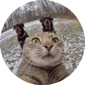 Meghan Rupp's avatar