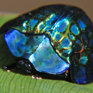 Elliot Lloyd's avatar