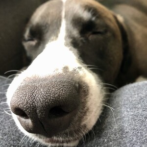 Derek van Veen's avatar