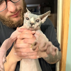 Caylee Anderson's avatar