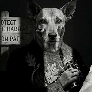 Akhil Kaliyath's avatar