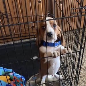 Tyrone Hinkley's avatar