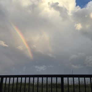 Cheneice Williams's avatar