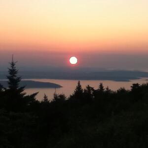 Deborah Sackett's avatar