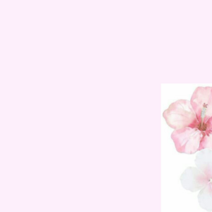 Allie Arinsberg's avatar