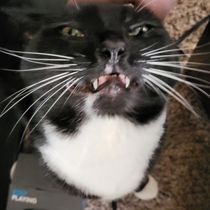 Garrett Schueman's avatar