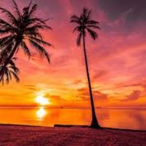 Heidi Staley's avatar