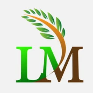 Leticia Mendes's avatar
