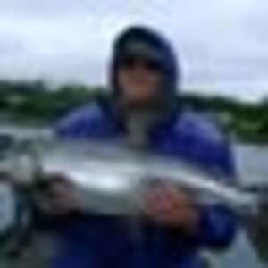 John Anderson's avatar