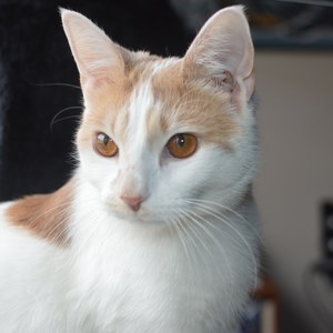 Tasha Esaki's avatar