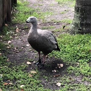 Steven Clemmer's avatar