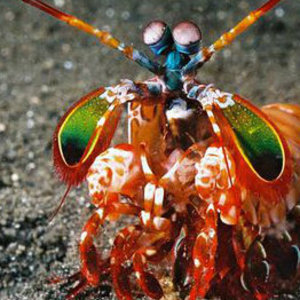 Kaylee Gagliano's avatar