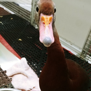 Tamara Arndt's avatar