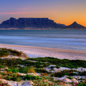 Erin Mendenhall's avatar