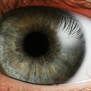 Julie Martine's avatar