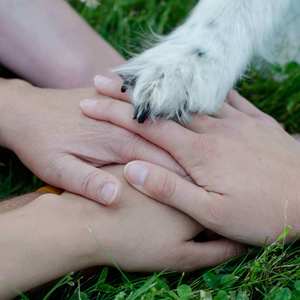 Dawn Bender's avatar